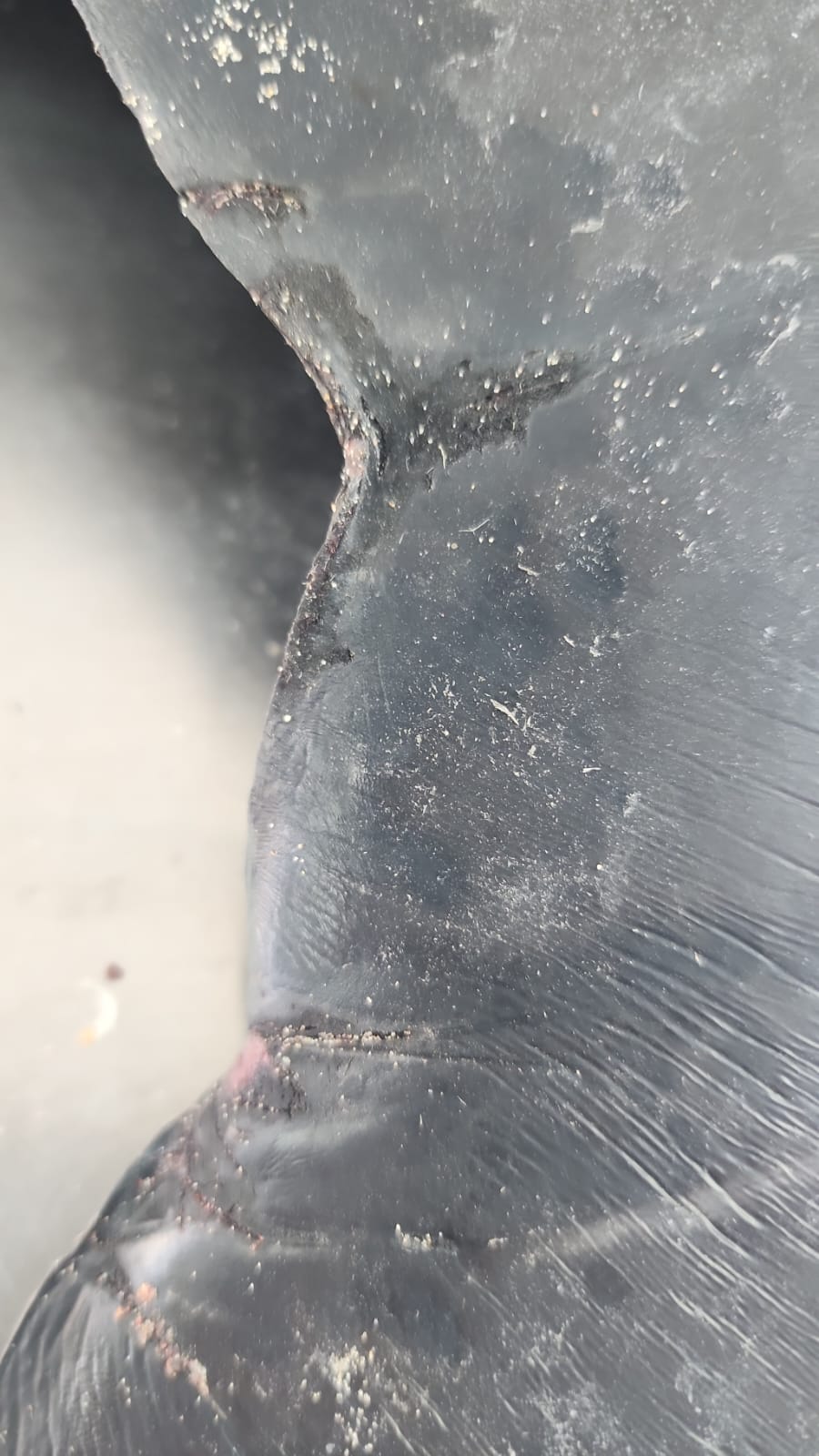 WhatsApp Image 2024-07-05 at 15.15.23_28db5963.jpg